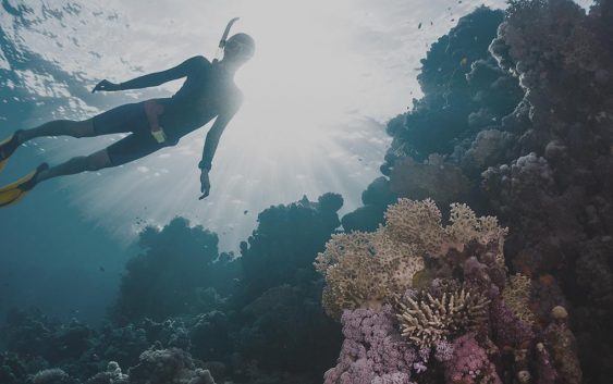 Benefits Of Working With A Professional Financial Advisor